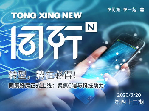 同策房产咨询 专业房地产咨询服务的领跑者